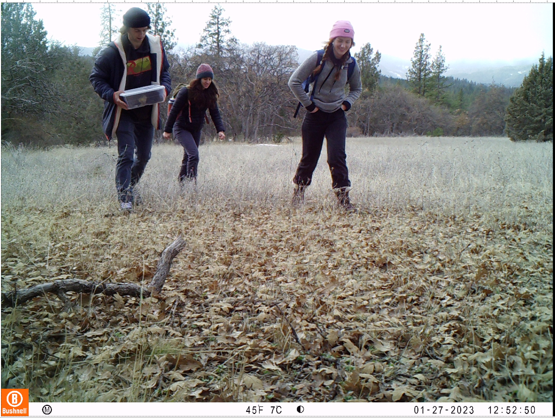 Lab team